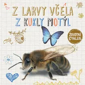Z larvy včela, z kukly motýl