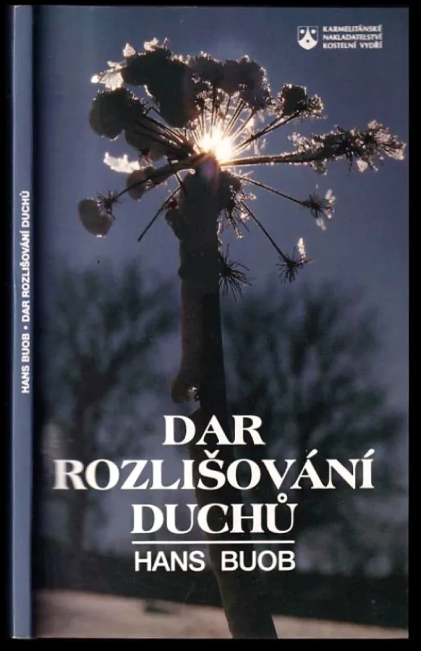 Dar rozlišování duchů