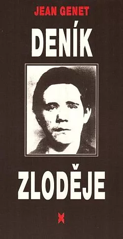 Deník zloděje