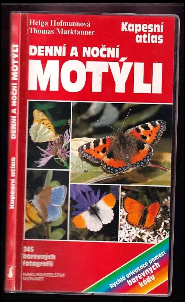 Denní a noční motýli