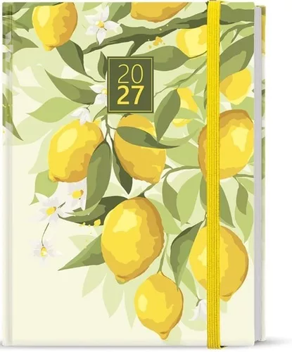 Denní diář 2027 Adam Lamino B6 Citron