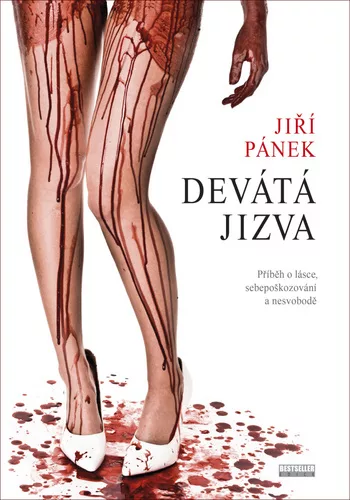 Devátá jizva - Příběh o lásce, sebepoškozování a nesvobodě