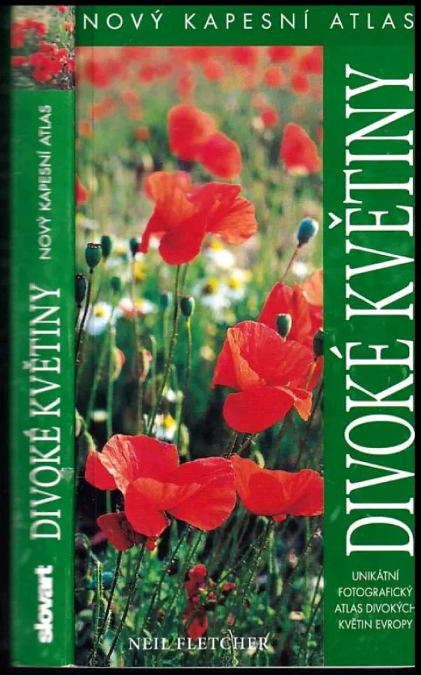 Divoké květiny