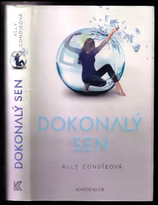Dokonalý sen