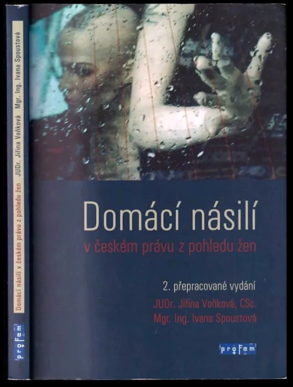 Domácí násilí v českém právu z pohledu žen