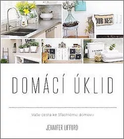 Domácí úklid