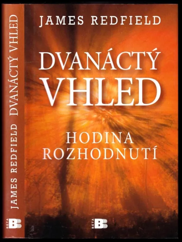 Dvanáctý vhled