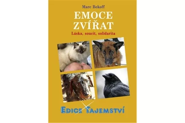 Emoce zvířat