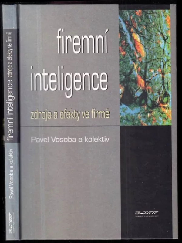 Firemní inteligence