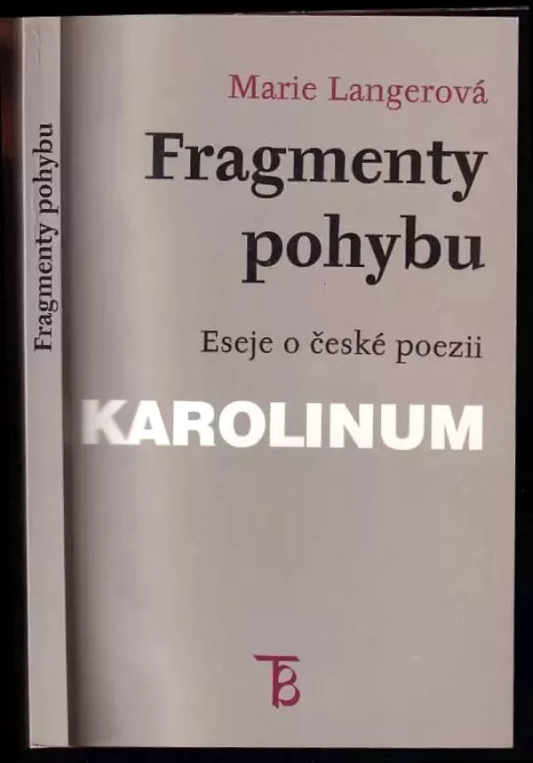 Fragmenty pohybu : eseje o české poezii
