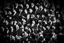 Haredim