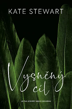 Vysněný cíl