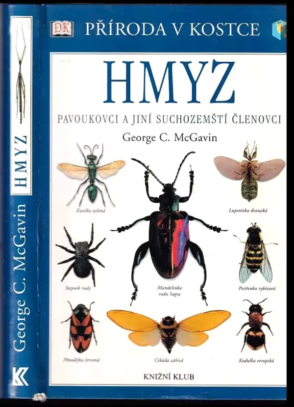 Hmyz