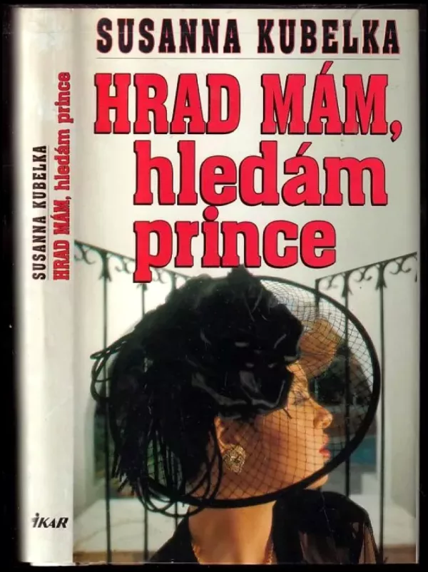 Hrad mám, hledám prince