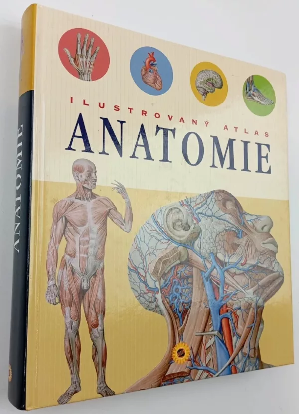 Ilustrovaný atlas anatomie
