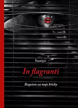 In flagranti - requiem za moje hříchy
