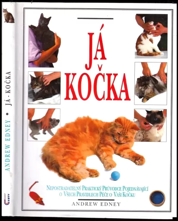 Já, kočka
