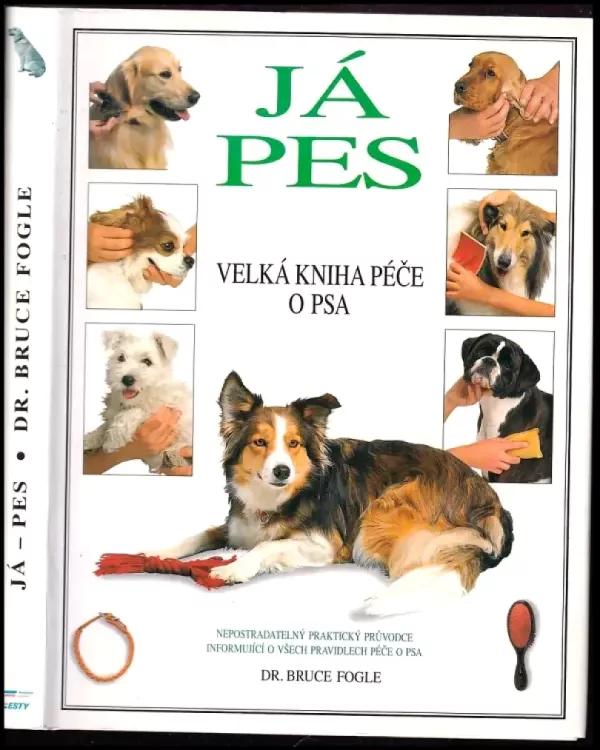 Já, pes