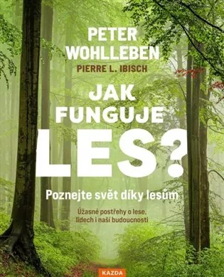 Jak funguje les? Poznejte svět díky lesům