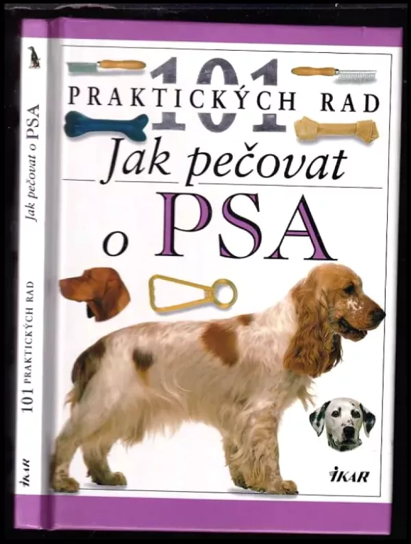 Jak pečovat o psa