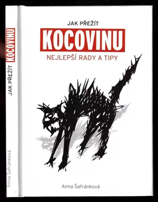 Jak přežít kocovinu