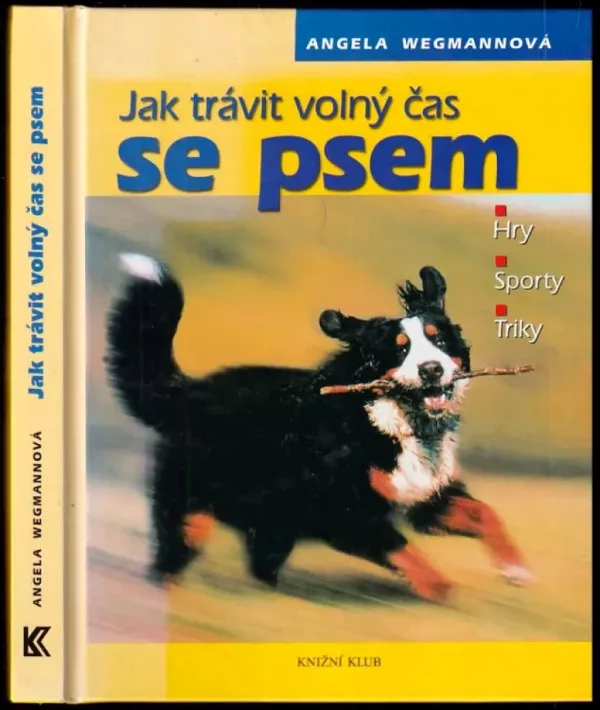 Jak trávit volný čas se psem