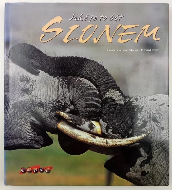 Jaké je to být slonem