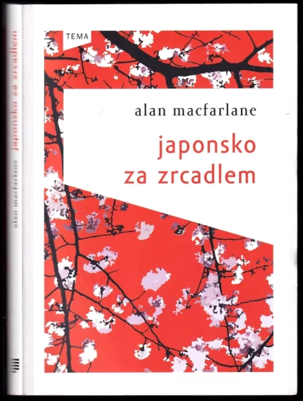 Japonsko za zrcadlem