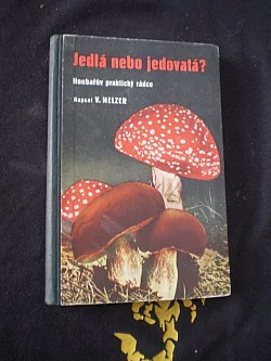Jedlá nebo jedovatá?