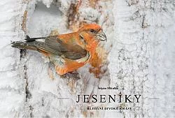 Jeseníky - hledání divoké krásy