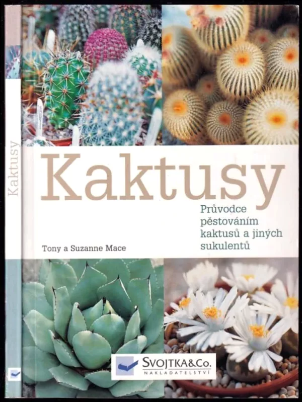 Kaktusy