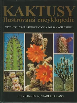 Kaktusy