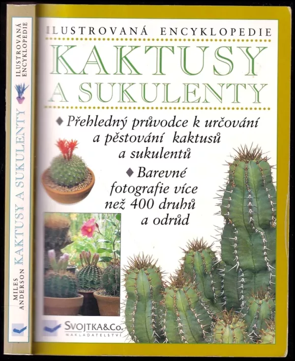 Kaktusy a sukulenty