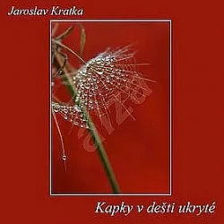 Kapky v dešti ukryté