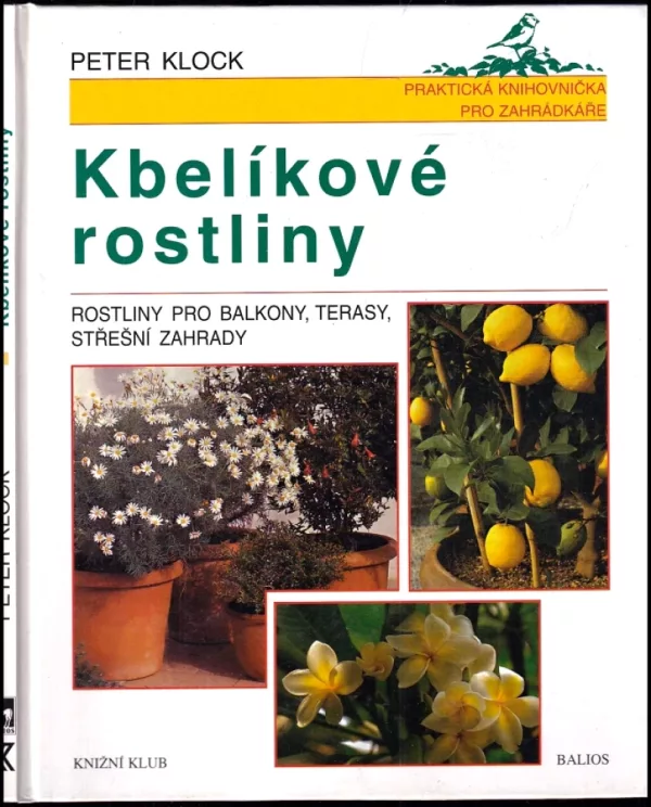 Kbelíkové rostliny