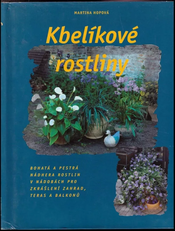Kbelíkové rostliny