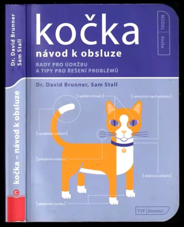 Kočka