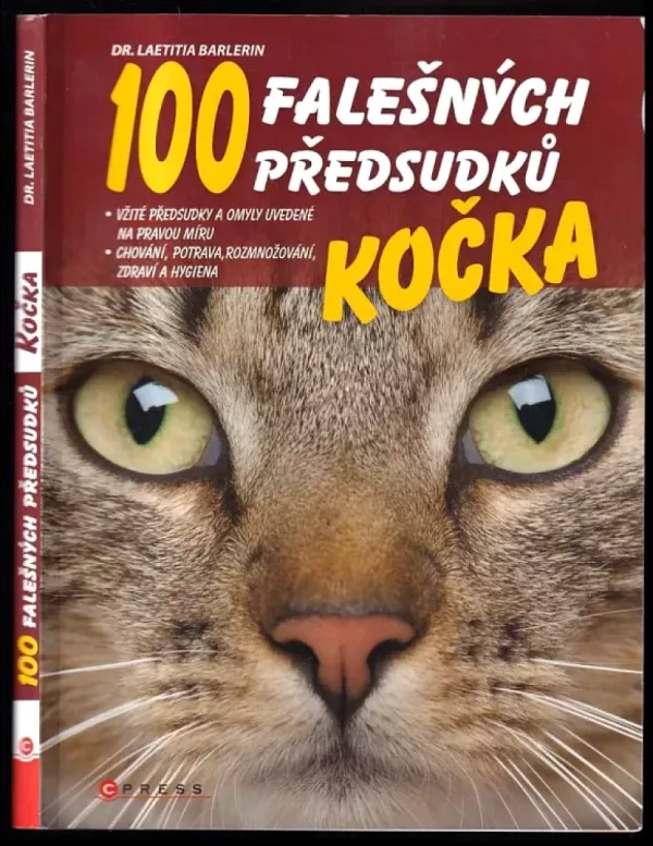 Kočka