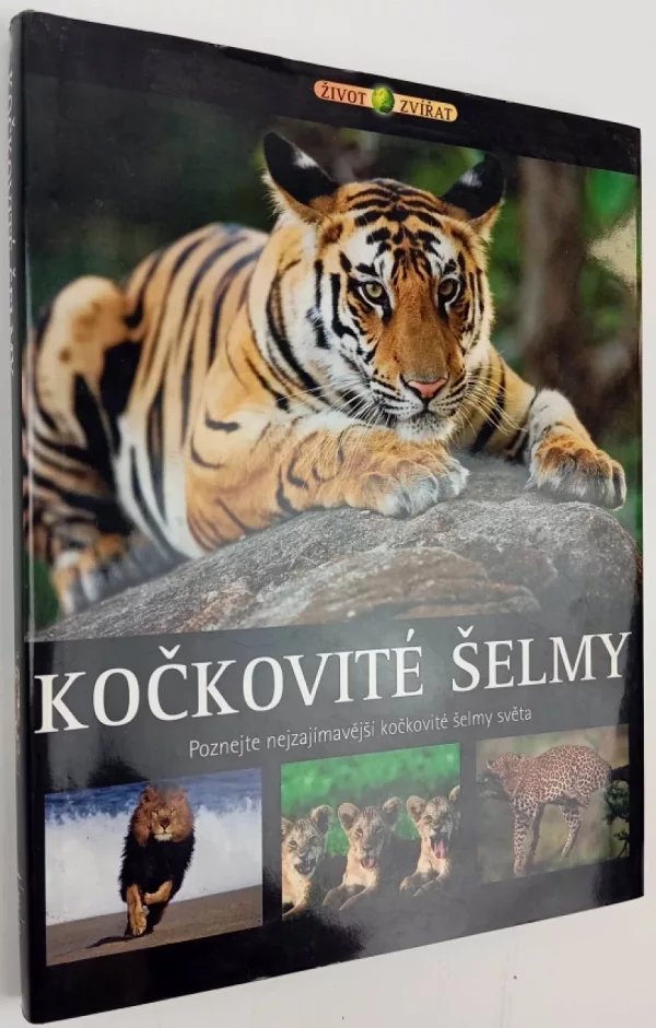 Kočkovité šelmy