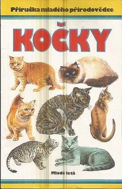 Kočky