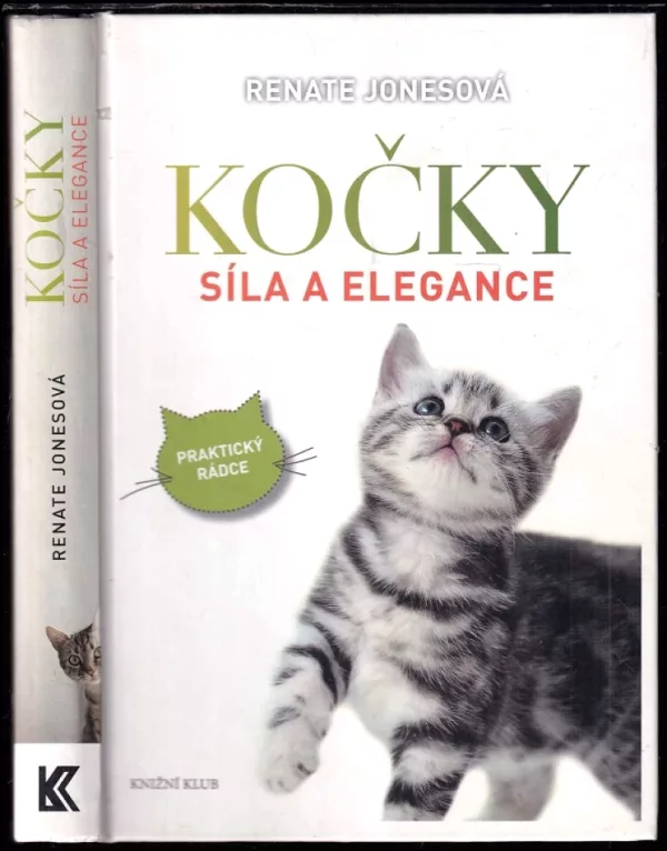 Kočky