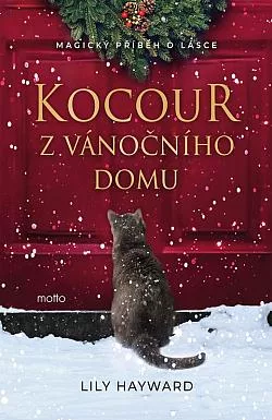 Kocour z vánočního domu