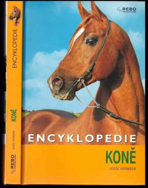 Koně