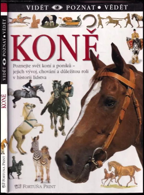 Koně