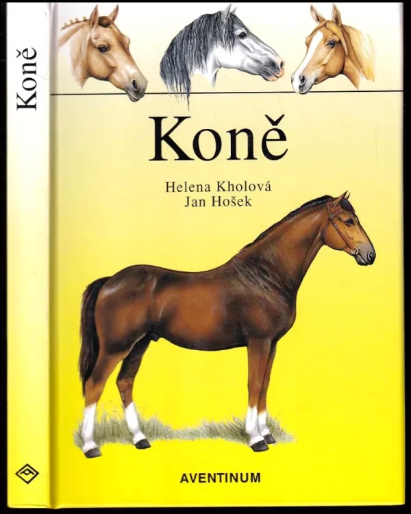 Koně
