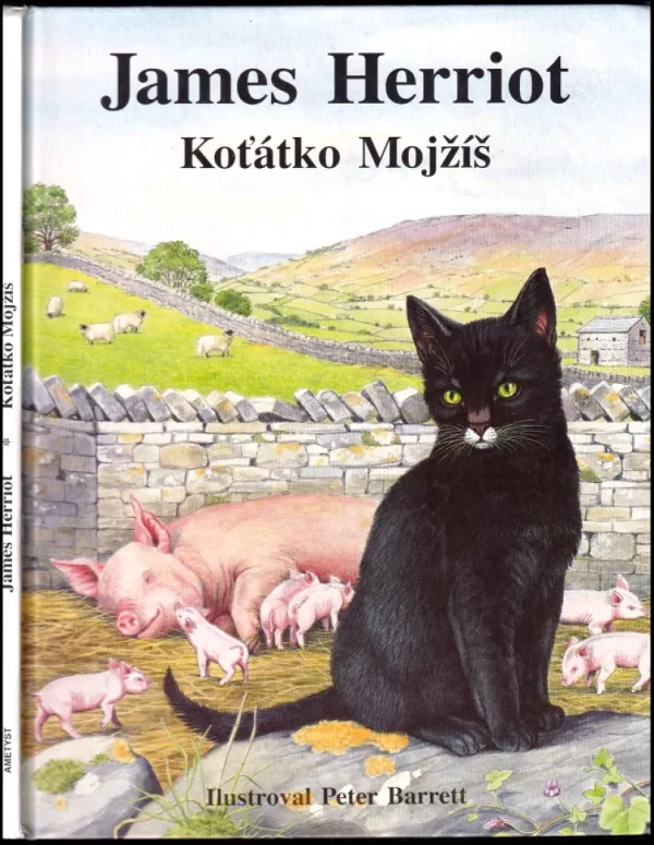 Koťátko Mojžíš