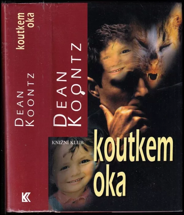 Koutkem oka