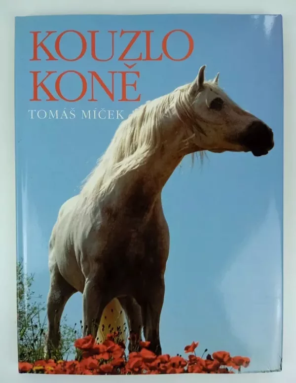 Kouzlo koně