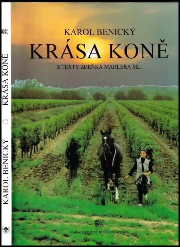 Krása koně