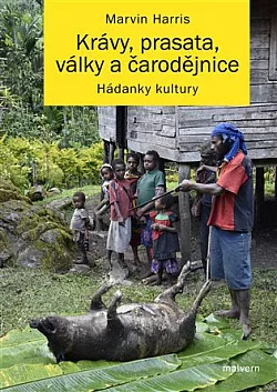 Krávy, prasata, války a čarodějnice: Hádanky kultury